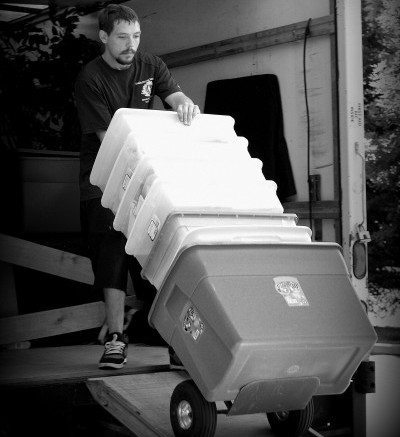 Denver Moving Companies Movers Denver Movers